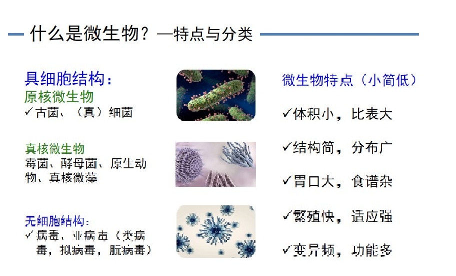 %title插圖%num