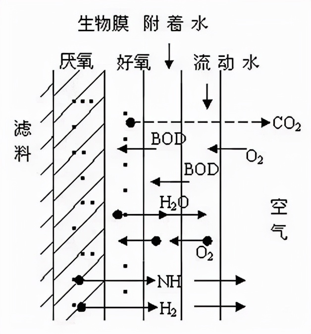 %title插圖%num