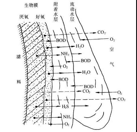 %title插圖%num