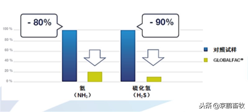 %title插圖%num