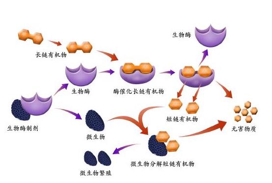 %title插圖%num