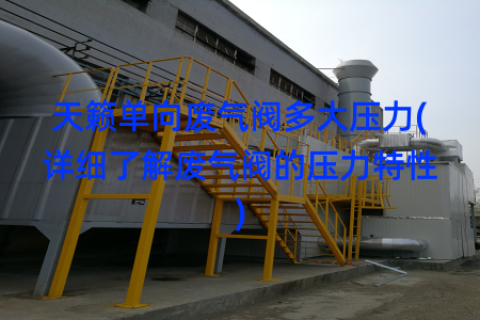 天籟單向廢氣閥多大壓力(詳細(xì)了解廢氣閥的壓力特性)
