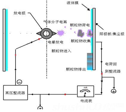 %title插圖%num